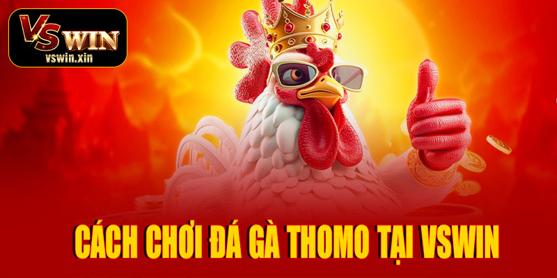 Hướng dẫn cách chơi đá gà Thomo tại VSwin