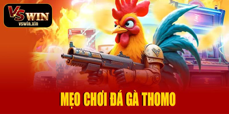Mẹo chơi đá gà Thomo tại VSwin hiệu quả