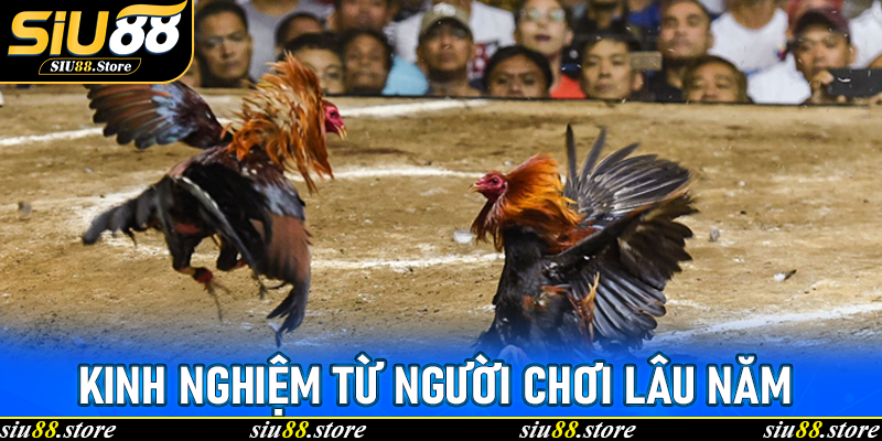 Kinh nghiệm từ người chơi lâu năm